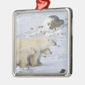 北米、カナダ、マニトバ、チャーチル。4 メタルオーナメント (左)