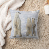 北米、カナダ、マニトバ、チャーチル。5 クッション (ブランケット)