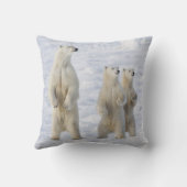 北米、カナダ、マニトバ、チャーチル。5 クッション (裏面)