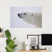 北米、カナダ、マニトバ、チャーチル。7 ポスター (ホームオフィス)