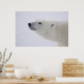 北米、カナダ、マニトバ、チャーチル。7 ポスター (キッチン)