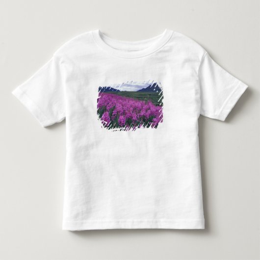 北米、カナダ、ユーコン準州。ヤナギランが満開 トドラーTシャツ (正面)