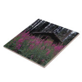 北米、カナダ、ユーコン。捨てられたトラッパー タイル (側面)