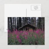 北米、カナダ、ユーコン。捨てられたトラッパー ポストカード (正面/裏面)