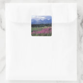 北米、カナダ、ユーコン。Fireweed開花 スクエアシール (バッグ)