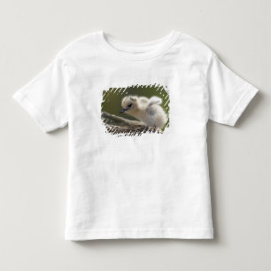 北米、ハワイ北西諸島、2 トドラーTシャツ