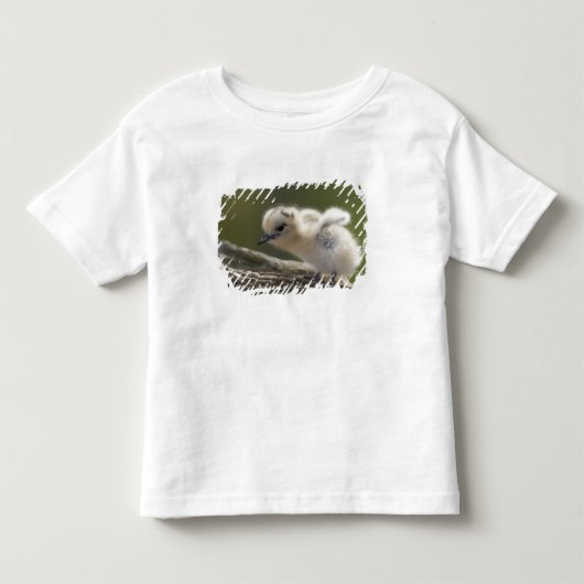 北米、ハワイ北西諸島、2 トドラーTシャツ (正面)