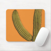 北米、メキシコ、バハカリフォルニア、カボ マウスパッド (マウス)