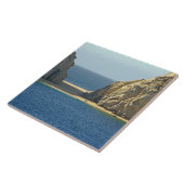 北米、メキシコ、バハ·カリフォルニア州 タイル (側面)