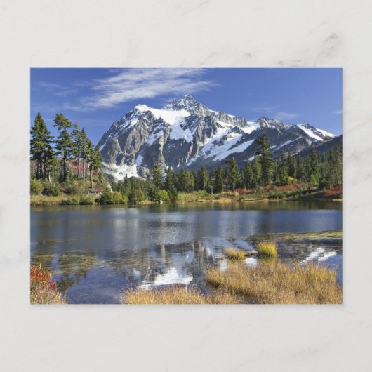 北米, ワシントン州, カスケード山脈. シュクサン山 ポストカード (正面)