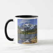 北米, ワシントン州, カスケード山脈。シュクサン山 マグカップ (左)