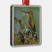 北米、米国、アラスカ。さびたハミング鳥 メタルオーナメント (右)