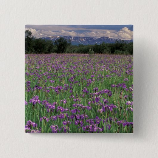 北米、米国、アラスカ、アンカレッジ、エクルトナ 缶バッジ (正面)