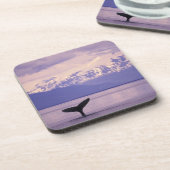 北米、米国、アラスカ、インサイド・パッセージ。 コースター (左側)