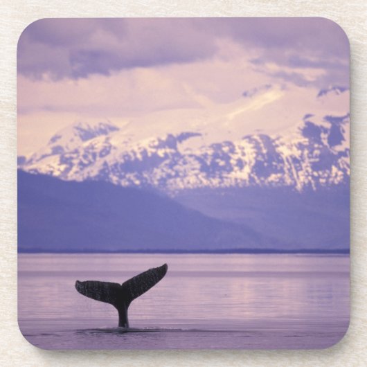 北米、米国、アラスカ、インサイド・パッセージ。 コースター (正面)