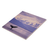 北米、米国、アラスカ、インサイド・パッセージ。 タイル (側面)