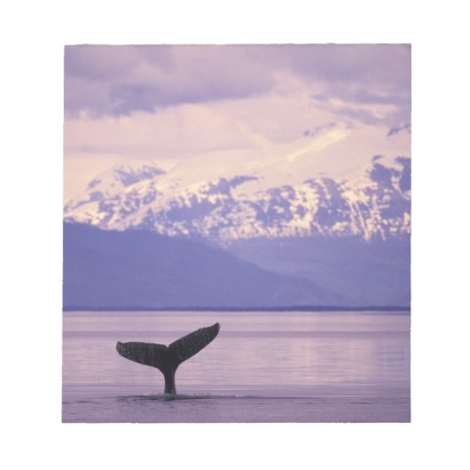 北米、米国、アラスカ、インサイド・パッセージ。 ノートパッド (正面)