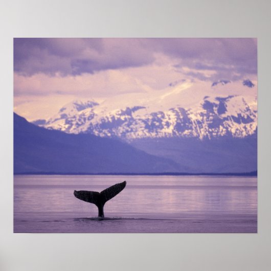 北米、米国、アラスカ、インサイド・パッセージ。 ポスター (正面)