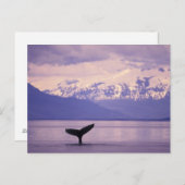 北米、米国、アラスカ、インサイド・パッセージ。 ポストカード (正面/裏面)