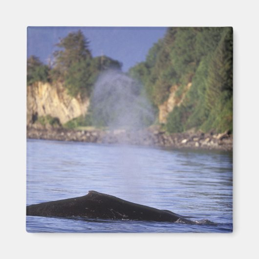 北米、米国、アラスカ、インサイド・パッセージ。 マグネット (正面)