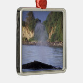 北米、米国、アラスカ、インサイド・パッセージ。 メタルオーナメント (右)