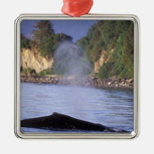 北米、米国、アラスカ、インサイド・パッセージ。 メタルオーナメント (正面)