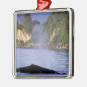 北米、米国、アラスカ、インサイド・パッセージ。 メタルオーナメント (左)