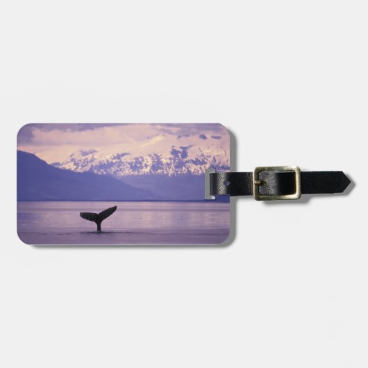 北米、米国、アラスカ、インサイド・パッセージ。 ラゲッジタグ (正面横)