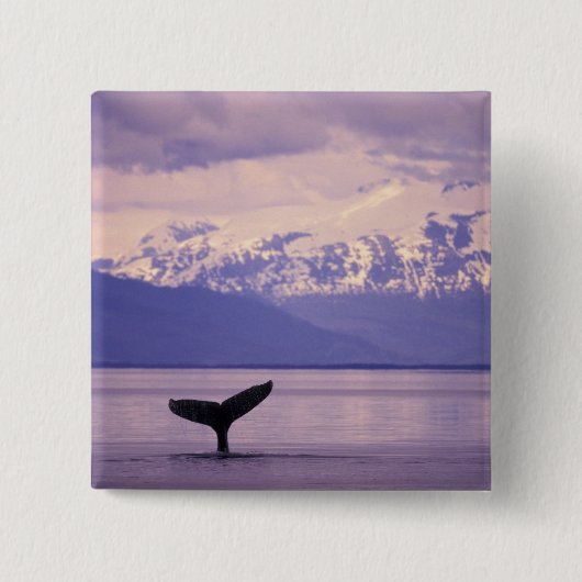 北米、米国、アラスカ、インサイド・パッセージ。 缶バッジ (正面)