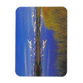 北米、米国、アラスカ、デナリNP、 マグネット (縦)