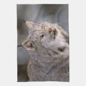 北米、米国、アラスカ、ハインズ。リンクス（フェリス2） キッチンタオル (縦)