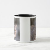 北米、米国、アラスカ、ハインズ。リンクス（フェリス2） マグカップ (中央)