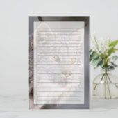 北米、米国、アラスカ、ハインズ。リンクス（フェリス2） 便箋 (スタンド正面)