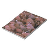 北米、米国、アラスカ、ユーコン・デルタ・ナショナル ノートパッド (回転)