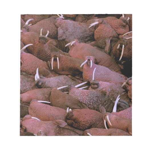 北米、米国、アラスカ、ユーコン・デルタ・ナショナル ノートパッド (正面)