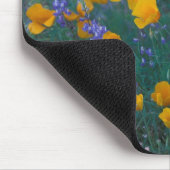 北米、米国、アリゾナ州、オルガンパイプカクタス マウスパッド (コーナー)