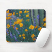 北米、米国、アリゾナ州、オルガンパイプカクタス マウスパッド (マウス)