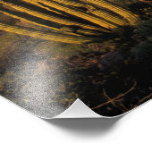 北米、米国、アリゾナ、オルガンパイプサボテン2 フォトプリント            (角)