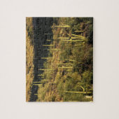 北米、米国、アリゾナ、ソノラン砂漠 ジグソーパズル (縦)