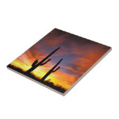 北米、米国、アリゾナ、ソノラン砂漠 タイル (側面)