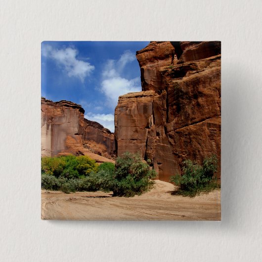 北米、米国、アリゾナ、ナバホインディアン5 缶バッジ (正面)