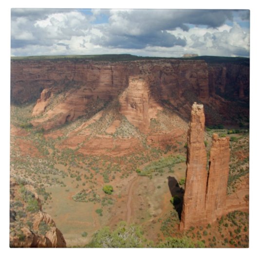 北米,米国,アリゾナ,ナバホインディアン6 タイル (正面)