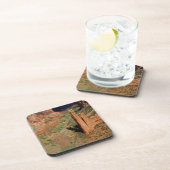 北米，米国，アリゾナ，ナバホインディアン7 コースター (右側)