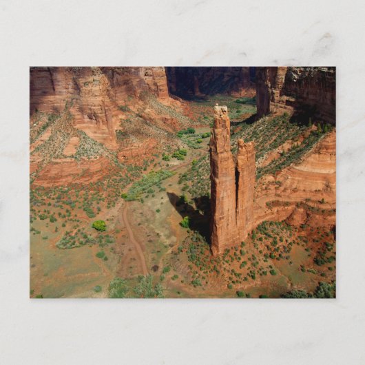 北米，米国，アリゾナ，ナバホインディアン7 ポストカード (正面)