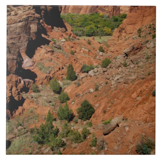 北米、米国、アリゾナ、ナバホインディアン タイル (正面)