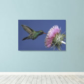 北米、米国、アリゾナ。広い請求を受けた キャンバスプリント (インサイチュ (ウッドフロア))