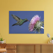 北米、米国、アリゾナ。広い請求を受けた キャンバスプリント (インサイチュ (リビング))