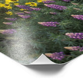 北米、米国、オレゴン、コロンビア川2 フォトプリント            (角)