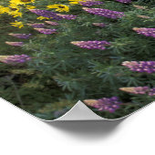 北米、米国、オレゴン、コロンビア川 ポスター (角)