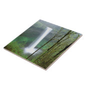 北米、米国、オレゴン、シルバー滝州 タイル (側面)